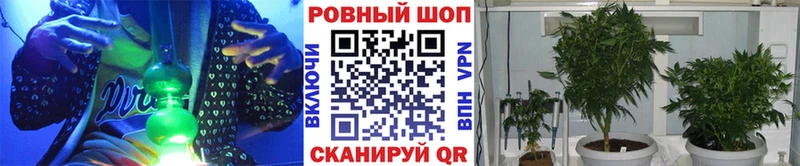 Наркотические вещества Кировск КОКАИН  МЕФ  Псилоцибиновые грибы  Гашиш 