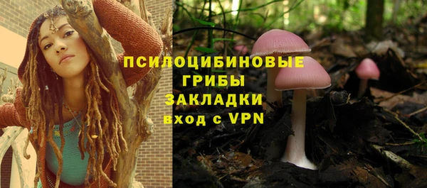 стаф Пролетарск