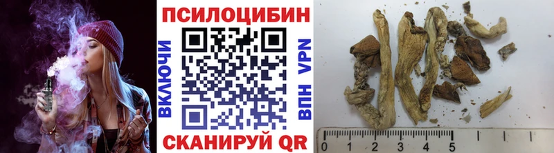 МЕГА ссылки  Кировск  Галлюциногенные грибы Magic Shrooms 